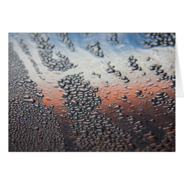 凝縮水滴 (正面横)