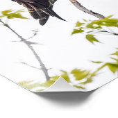 凝視オスプレイ フォトプリント            (角)