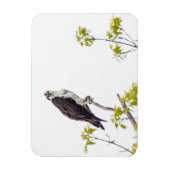 凝視オスプレイ マグネット (縦)