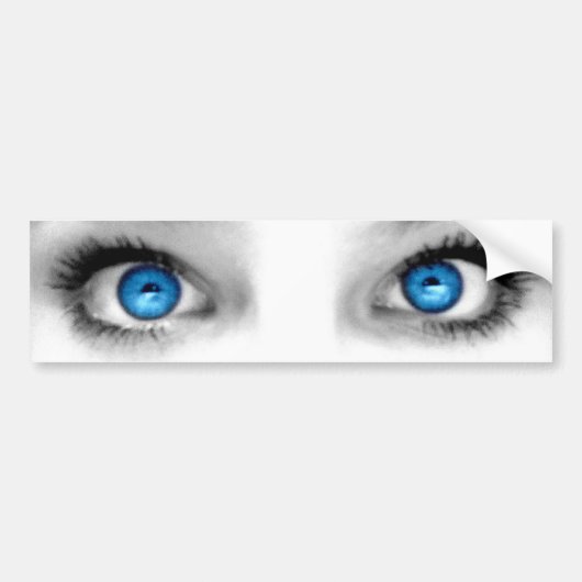 凝視目のバンパーステッカー バンパーステッカー (正面)