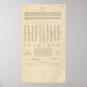 凡例16667オーストラリア ポスター