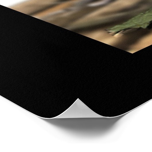 凡斎 ポスター (角)