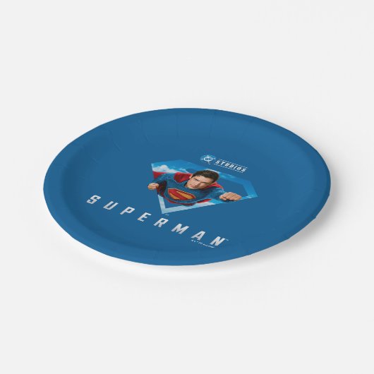 処理中の鉄鋼製の男 ペーパープレート (アングル)