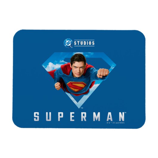 処理中の鉄鋼製の男 マグネット (横)