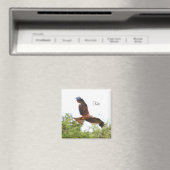 凧の飛行中….. マグネット (インサイチュ (食洗機))