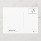 凧を飛ばしている漫画のカンガルー ポストカード (裏面)