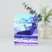 凧サーフィンはがき ポストカード (スタンド正面)