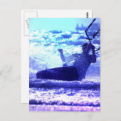 凧サーフィンはがき ポストカード (正面/裏面)