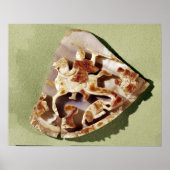 凱歌を奏す野蛮人を踏みつけた天皇 ポスター (正面)