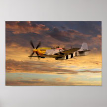 凶暴なフランキー