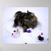 凶暴な雪の猫 ポスター (正面)