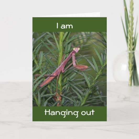 出つるて行ってハッピーバースデー カード (正面)