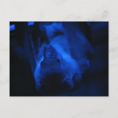 出てつるくる？ ポストカード (正面)