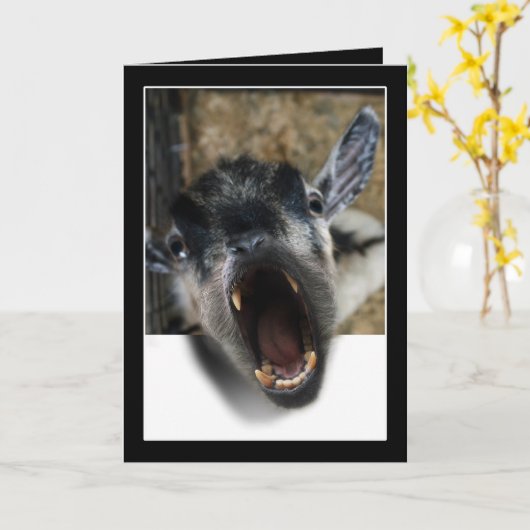 出て行くと叫ぶヤギ カード (黄色い花)