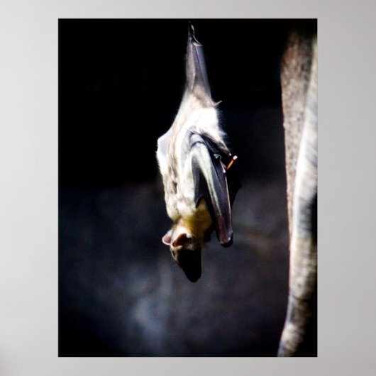 出ぶら下がったて ポスター (正面)