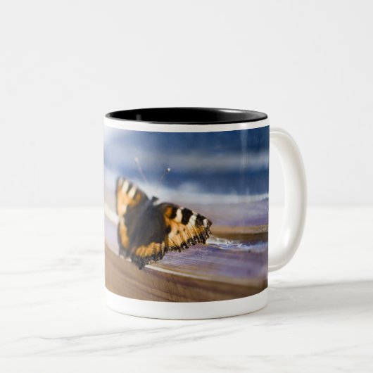 出ることを試みている蝶スウェーデン ツートーンマグカップ (正面右)