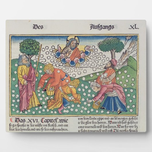 出エジプト16 13-22神はウズラとマナを与える フォトプラーク (正面)