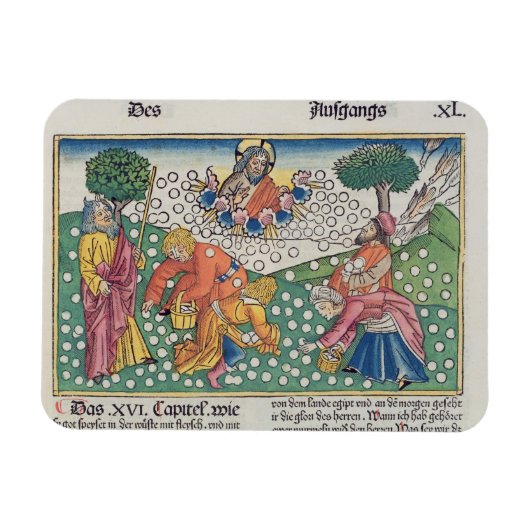 出エジプト16 13-22神はウズラとマナを与える マグネット (横)