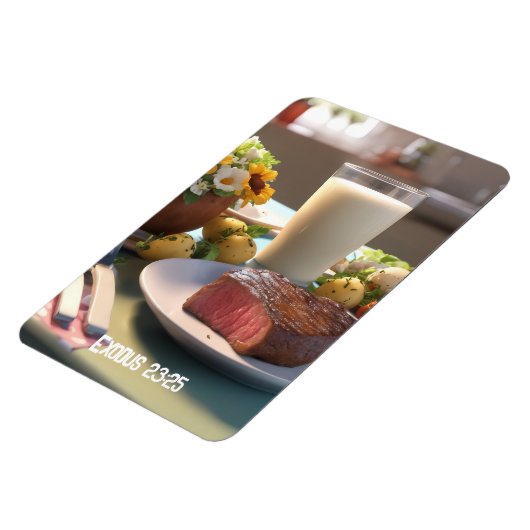 出エジプト23:25 – 磁石 (左側)