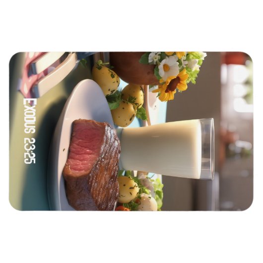 出エジプト23:25 – 磁石 (横)