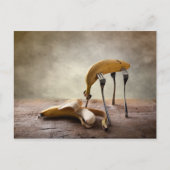 出会い ポストカード (正面)