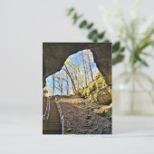 出口マンモスケーブケンタッキー – はがき (スタンド正面)