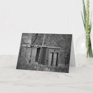 「出口104C - シェッド」お見舞いカード カード