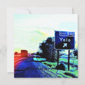 出口542 Yolo California (正面)
