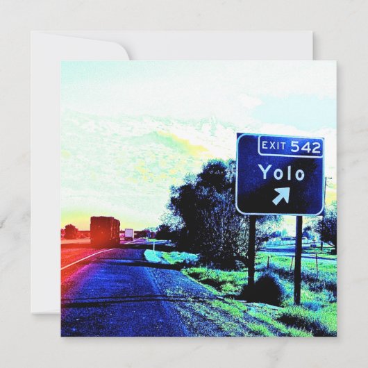 出口542 Yolo California (正面)
