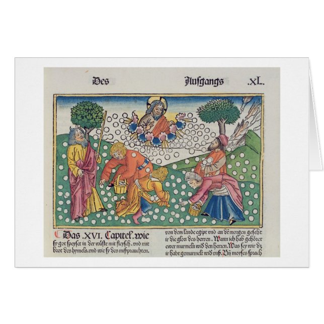 出国16の13-22神はThにウズラおよび天恵を提供します (正面横)