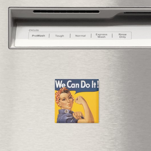 出来る！ マグネット (インサイチュ (食洗機))