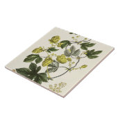 出版される「若いLandsman」からのホップのつるは、竸います タイル (側面)