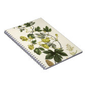 出版される「若いLandsman」からのホップのつるは、竸います ノートブック (右側)