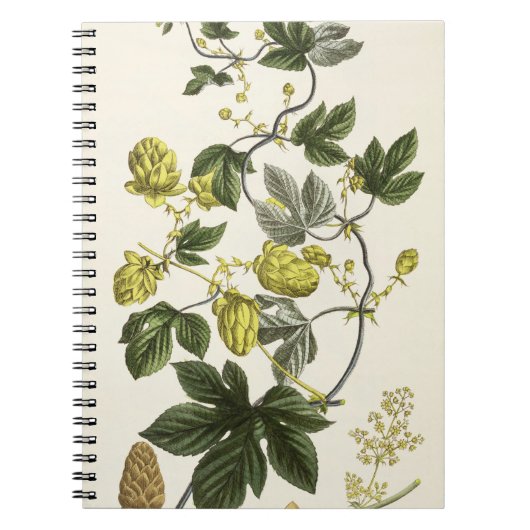 出版される「若いLandsman」からのホップのつるは、竸います ノートブック (正面)