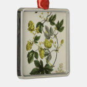 出版される「若いLandsman」からのホップのつるは、竸います メタルオーナメント (右)