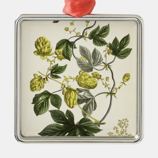 出版される「若いLandsman」からのホップのつるは、竸います メタルオーナメント (正面)