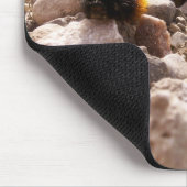 …出版物の… マウスパッド (コーナー)