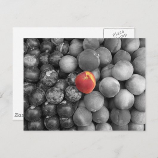 出独身の力 ポストカード (正面/裏面)