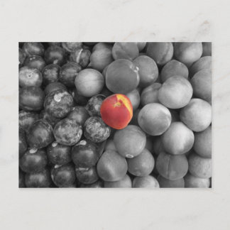 出独身の力 ポストカード