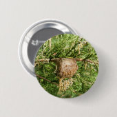 出現のカマキリの~ボタン 缶バッジ (正面&裏面)