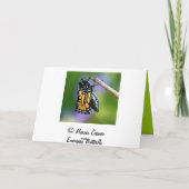 出現の蝶 カード (裏面)