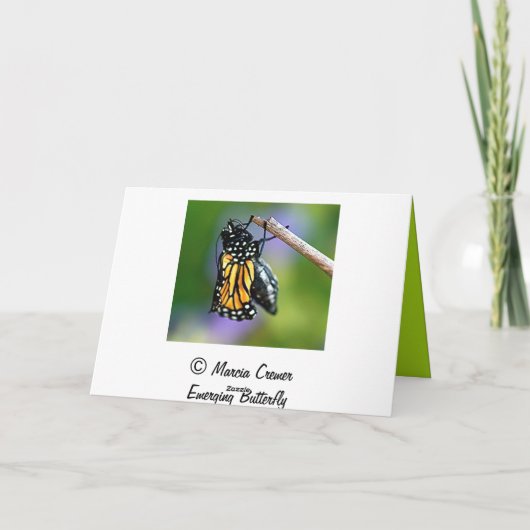 出現の蝶 カード (裏面)