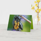 出現の蝶 カード (黄色い花)