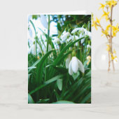 出現 カード (黄色い花)