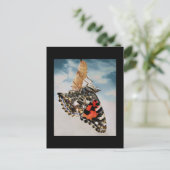 出現 ポストカード (スタンド正面)