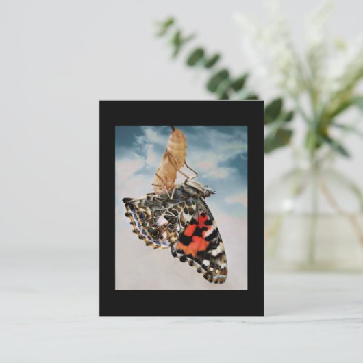 出現 ポストカード (スタンド正面)