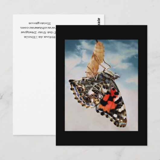 出現 ポストカード (正面/裏面)