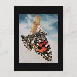 出現 ポストカード