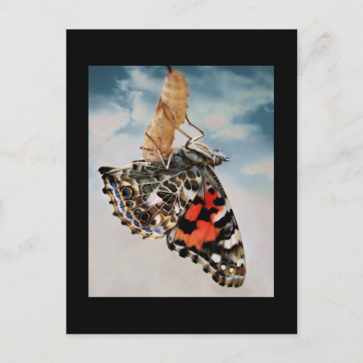 出現 ポストカード (正面)