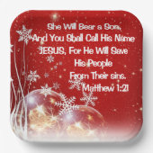 出生クリスマス紙プレート ペーパープレート (正面)